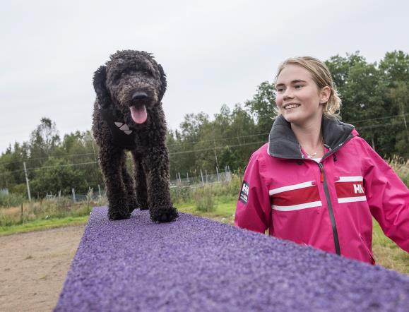 Frågor besvaras av Malin Thestrup malin.thestrup@rjl.se, 010-244 26 10 Plats: Stora Segerstad Naturbrukscentrum utanför Reftele som ligger i Jönköpings län. Vägbeskrivning finns på vår hemsida: www.