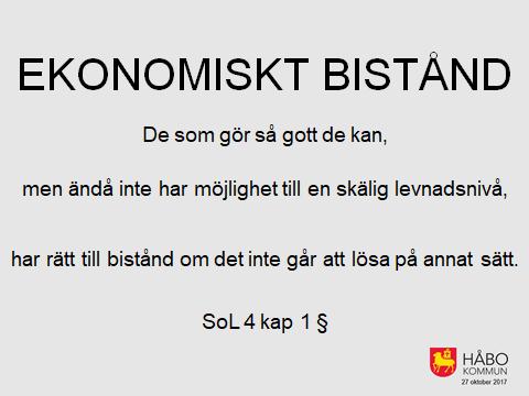 Socialtjänstlagen 4 kap.