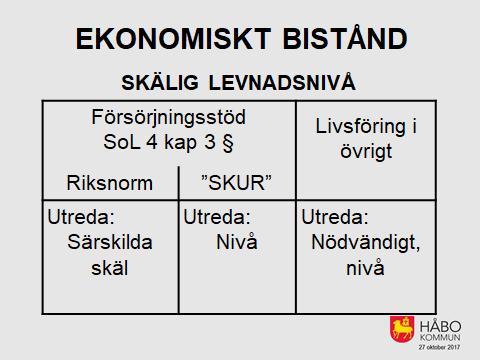 När vi ska ta ställning till om ansökan gäller något som är nödvändigt för en skälig levnadsnivå, kan denna uppdelning vara ett sätt att strukturera upp bedömningen.