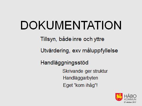 Tillsyn, både inre och yttre När riksdagen ska kolla så att vi följer de lagar som de bestämt, så gäller det att deras ombudsmän (JO) av dokumentationen kan komma fram till att vi gjort rätt.