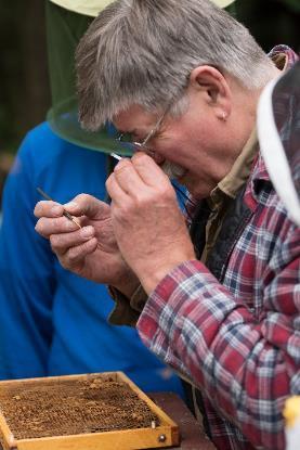 deltagarna fått lära sig att larva