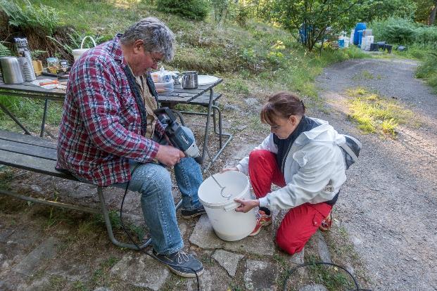 Foderdeg till apideorna