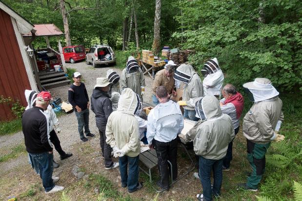 Många var intresserade att se