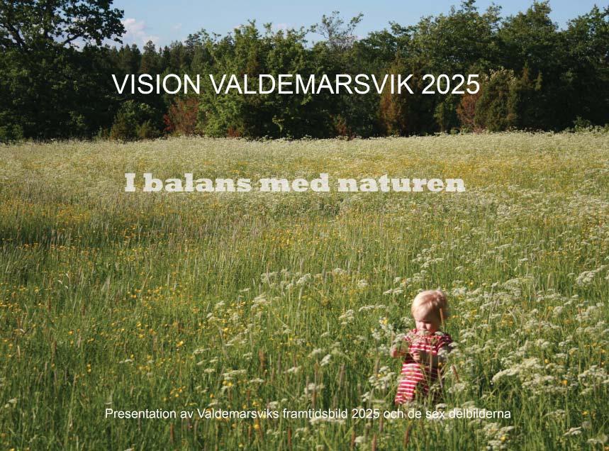 2.1 Vision Valdemarsvik 2025 Kommunfullmäktige beslutade 2012 om VI- SION VALDEMARSVIK 2025, I balans med naturen.