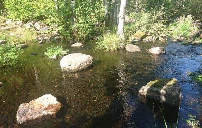 Lillån vid Boxholm, Ned omlöp Timmerö Avrinningsområde Koordinat (RT90) Kommun Syfte Höjd över havet 67 Motala ström 644956-145597 Boxholm Uppföljning 139 m Populationstyp Senast fiskad Lokallängd