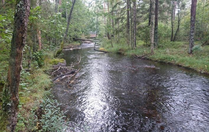 Silverån, Ovan bron Svinhultsvägen Avrinningsområde Koordinat (RT90) Kommun Syfte Höjd över havet 74 Emån 639990-147520 Ydre Regional miljöövervakning 158 m Populationstyp Senast fiskad Lokallängd