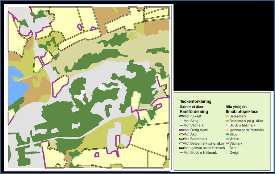 Figur 5. Exempel på en markslagsklassificerad NILS ruta för småbiotopsrapportering. Runt varje åkeryta är buffertzoner skapade och dessa har givits tillhörighet utifrån markslagen.