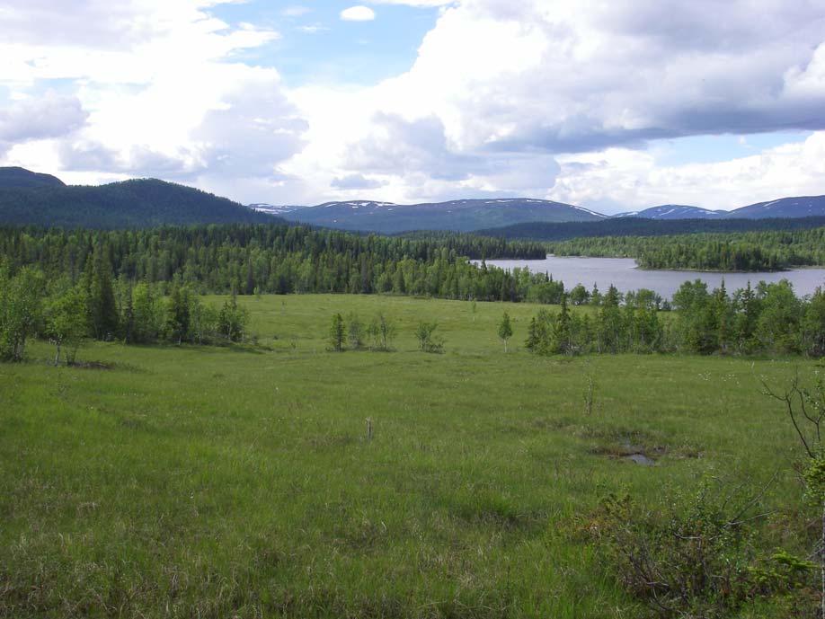 Korallgrottans naturreservat med Leipikälven i bakgrunden (foto: Kristoffer Sivertsson 2008) = mçëí~çêéëë= _Éë âë~çêéëë=