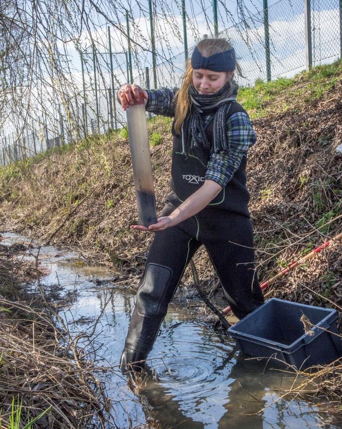 Analys av gummigranulatets spridning till närliggande vatten För att kunna räkna ut gummigranulatets spridning till intilliggande vatten, togs mark och bottenprover i vattenmiljön runt planerna.