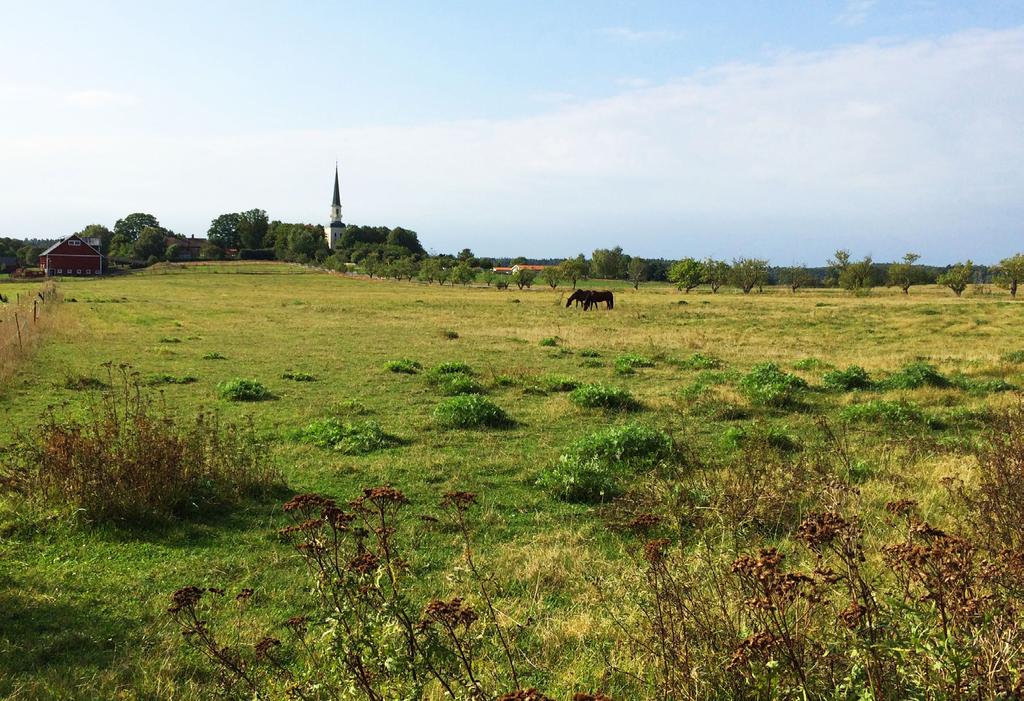 Hästgårdarna bidrar till landskapet För landsbygden innebär de många hästgårdarna en inkomstkälla och att landsbygden kan fortsätta att vara levande, dels genom verksamheterna själva men också genom