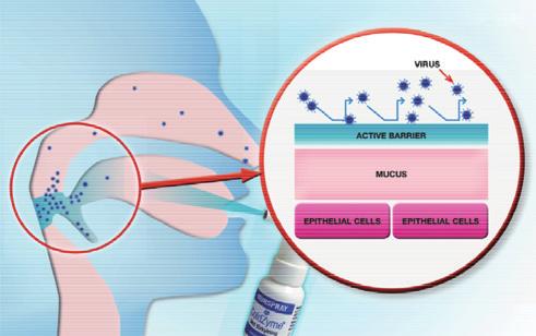 Produkter och utveckling ColdZyme Munspray Förkortande av pågående förkylningsinfektion I COLDPREV-studien reducerades antalet förkylningsdagar med 54 procent hos den grupp som fick ColdZyme Munspray.