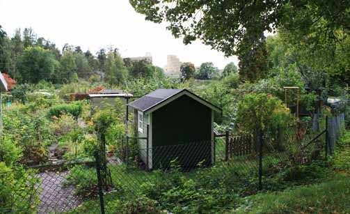 Figur 5.1.8 Vy från Söderbrunns koloniområde mot Albano. Förslag till åtgärder och fortsatt arbete En lämplig detaljutformning är i många fall avgörande för konsekvenserna.