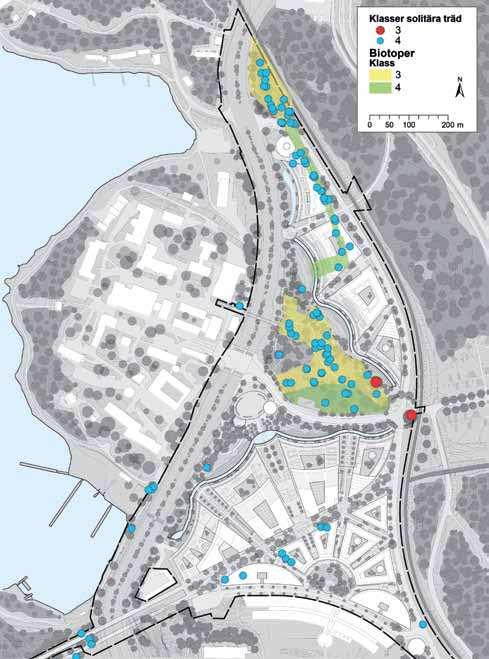 Figur 5.3.6 Konsekvenser för naturvärden i Albano av planen. Flera trädinventeringar har gjorts av delar av området, men bedömningarna är mycket olika och från olika år.