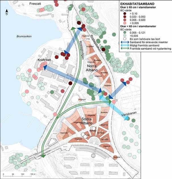 Figur 5.3.7 Ekarnas habitatnätverk baserat på enstaka träd.