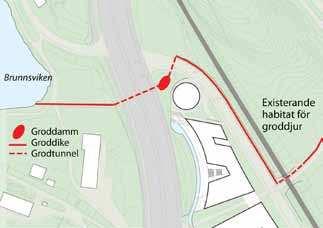 Figur 5.3.9 Förslag till grodtunnlar, damm och diken i norra Albano, enligt gestalningsprogrammet. underjordisk byggnad att placeras, som inte bedöms skymma sikten för eklevande insekter.