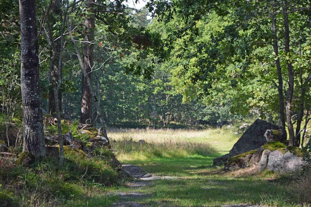 Oskarshamn Grönö 5:1 Jakt/fiske Fastigheten har del i fiske i östersjön. Se karta. Fastigheten ingår inte i något älg- eller kronviltsområde. Säljaren förbehåller sig jakten t.o.m. 2018-06-30.