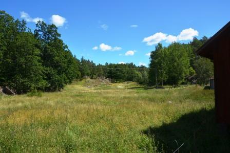 Skog På fastigheten Västervik Tribbhult 1:3, del av finns en skogsbruksplan upprättad i augusti 2017av Skog och Lantbruk.