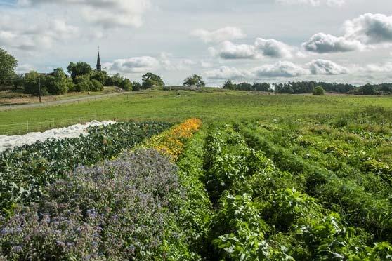 Naturvårdsverket