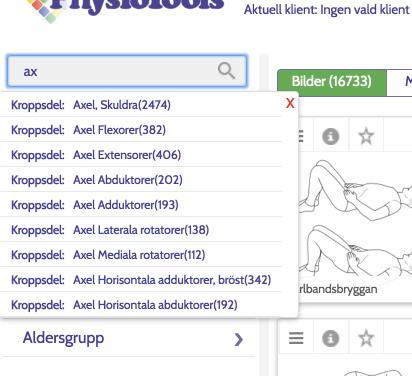 Efter att ha sökt med egna ord i fältet för fritextsökning kan du fortsätta att precisera din sökning med hjälp av filtersystemet.