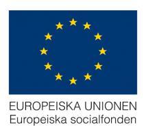 Europeiska socialfonden stöder projekt som motverkar utanförskap och främjar kompetensutveckling Ökade övergångar till arbete för utrikesfödda fokus på kvinnor Nu kan ni söka stöd för projekt inom