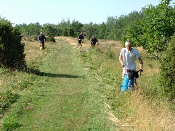 9 Övriga skyddsobjekt Efter överenskommelse med markägaren har miljöbyrån utfört begränsade skötselåtgärder inom följande områden: Skötselområde: Hammarland, Bovik, guckusko.