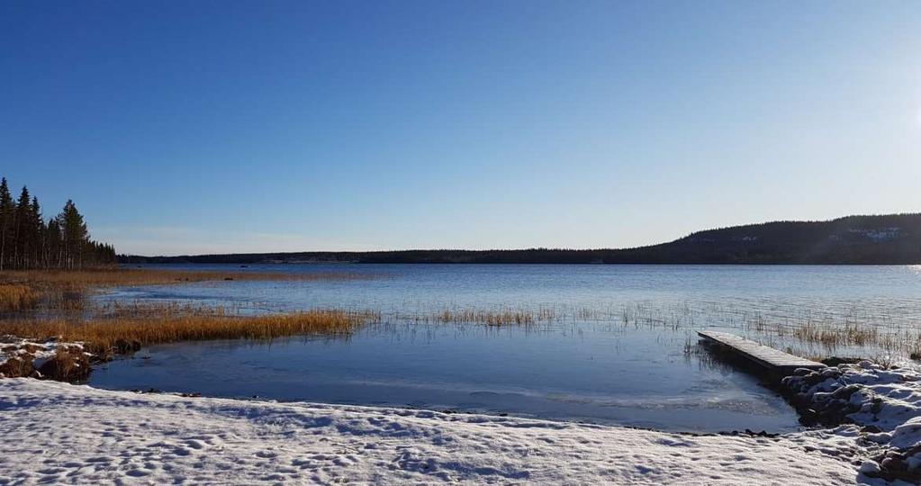 SOS 1.0 Simuleringsstödd optimering av vårdkedjor Projektets syfte är att ta fram metoder för att göra vård och omsorg mer Ändamålsenlig Får du stöd på rätt nivå och av rätt yrkeskategori?