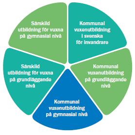 Vuxenutbildningen Digital kompetens och programmering för vuxna utifrån individens behov och förutsättningar och för aktivt deltagande i samhällsliv, yrkesliv och för vidare