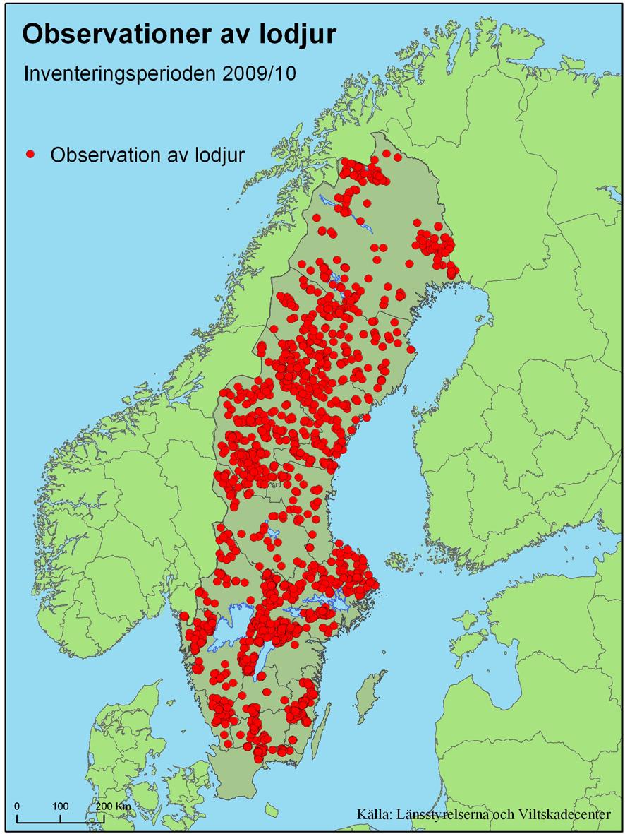 Figur 3. Kvalitetssäkrade observationer av lodjur (ensamma eller familjegrupper) under inventeringssäsongen 2009/10 (1 oktober 2009 28 februari 2010).