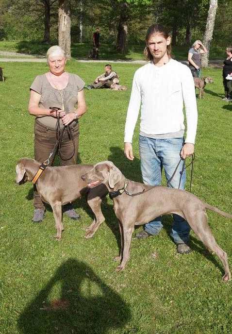 Weimaranerlägret i Gammelkroppa 25-28/5-2017 Vid pennan Monika och Mats Wennerberg Årets läger började lite äventyrligt med att några av instruktörerna som skulle träna oss fick förhinder i sista