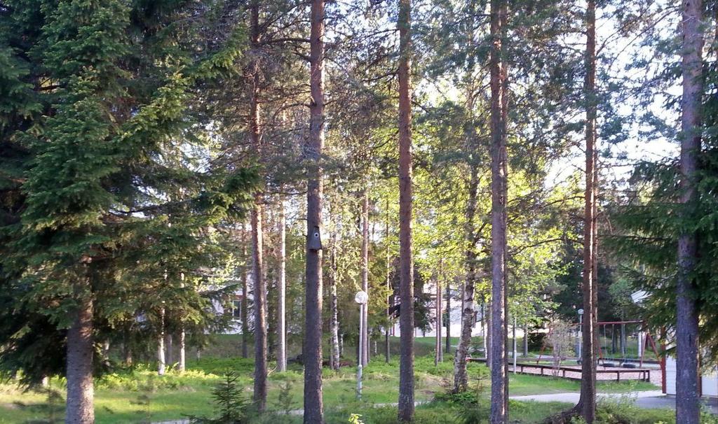Förord Precis som namnet antyder ligger Riksbyggens Brf Skogsgläntan vackert inbäddad vid skogskanten i stadsdelen Östra Ersboda i Umeå.