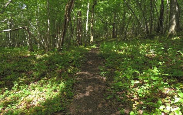 Tidigare var sjön endast tillgänglig från en liten del av västra sidan där utsikten över sjön var mycket begränsad.