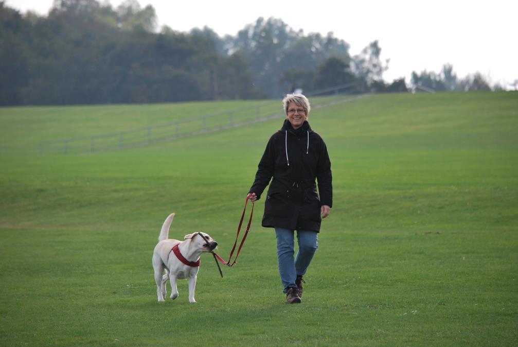 Vardagslydnad SPECIALKURS Gå fint i kopplet Drar din hund i kopplet på promenaden? Då är detta kursen för dig.