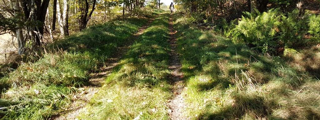 förändras. Där upplevelsen av landskapet förändras kan även friluftslivet förändras.