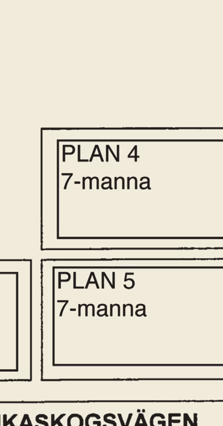 PLANINFO: PLAN 1 NATURGRÄS