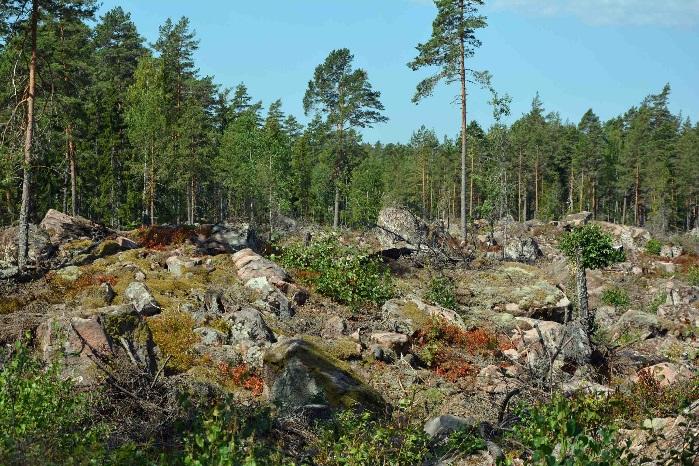 Oskarsmn Bjälebo 2:4 Rättsförhållanden Fastigheten Bjälebo 2:4 är belägen i Kalmar län, Oskarsmns kommun, Kristdala församling i Kristdala socken. Arealen fördelad enligt skogsbruksplan.