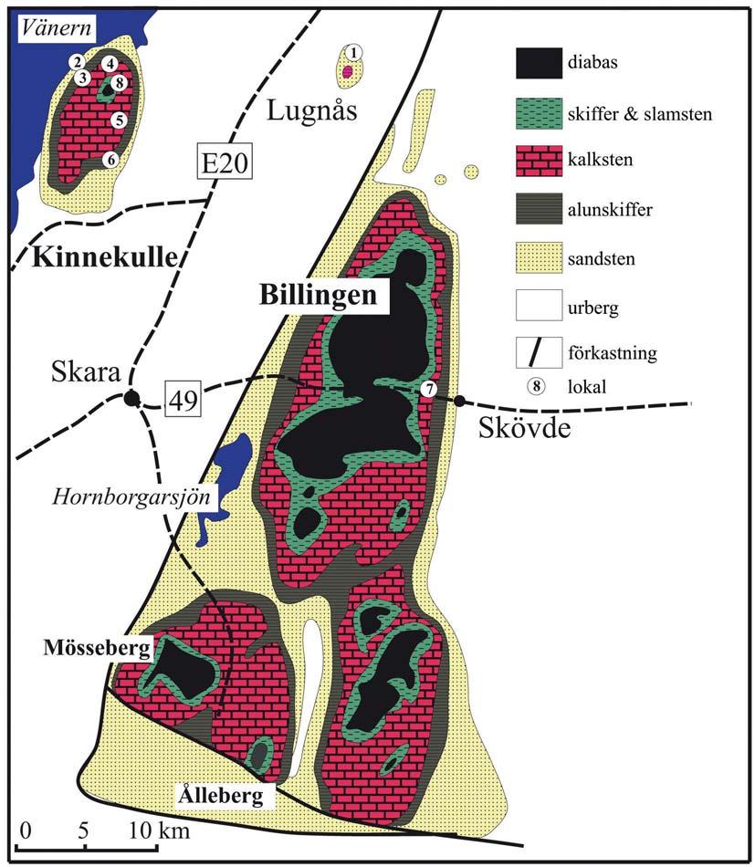 Fig. 1. Geologisk karta över Västergötland. File Haidarformationen (namnet kommer egendomligt nog från en djup borrkärna från File Haidar på Gotland).