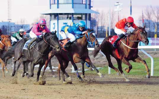 Jockeyklubbens 000 Guineas Delacroix (t h) och Danny K (t v) J ckeyklubben THE SWEDISH JOCKEY CLUB ESTABLISHED 890 Jockeyklubben bjuder sina medlemmar samt ägare, uppfödare och tränare till hästar