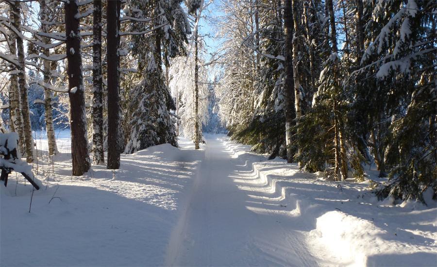 Sköna vinterbilder från Fredriksfors Dan Andersson Den 7 februari, mitt på