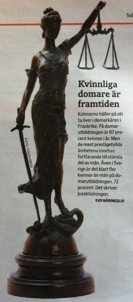 domaryrket på väg