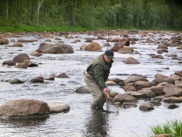 Värmen och skogsbränderna 2018 måste tas som en kraftfull varningssignal. Forskarna är eniga om att jordens temperatur stiger och att vi är på väg mot en katastrof om inget görs.