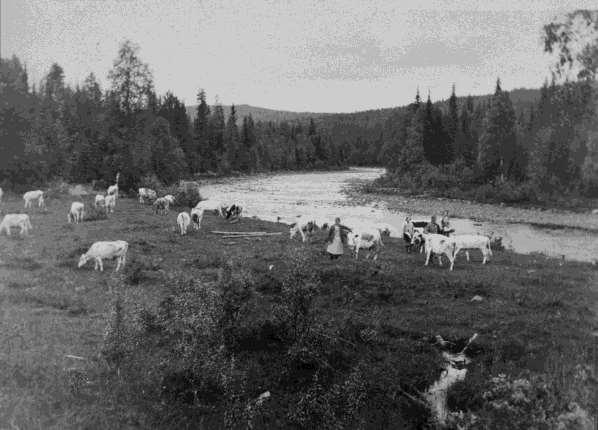 Av totalt ett dussin fäbodar intill eller i närheten av Unnån låg de flesta i södra delen, vissa nära ån, andra en eller ett par km därifrån.