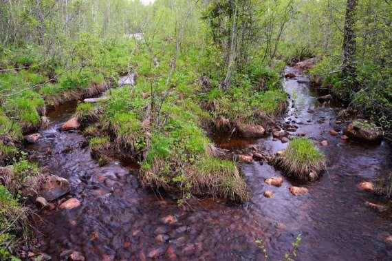 Områdesvis beskrivning Alla områden som inventerats är angivna med ett nummer på översiktskartorna från 1 till 15, från söder till norr.