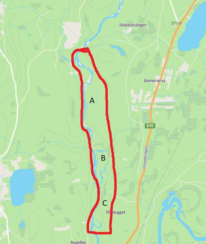 2. Jäsbäckens mynning och söderut på östra sidan Tre delområden från denna sträcka beskrivs nedan (A, B, C) med text och många bilder emellan beskrivningarna.