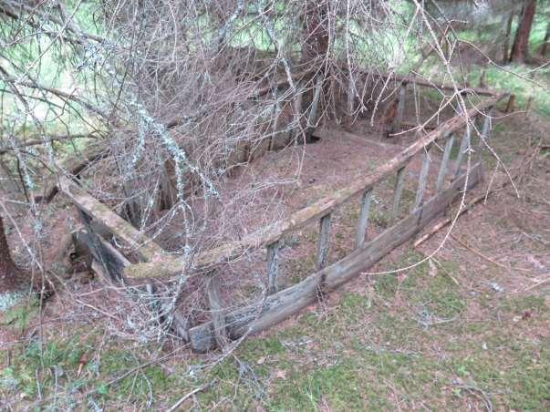 Kulturminne i skogen intill Unnån. Den rika växtligheten längs ån har nyttjats på olika sätt, framförallt genom slåtter.