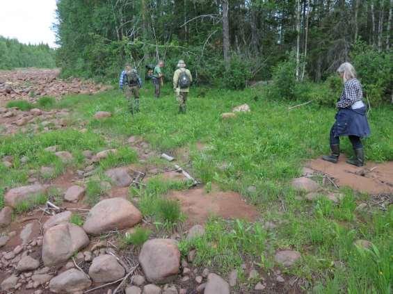 Örtrik vegetation på