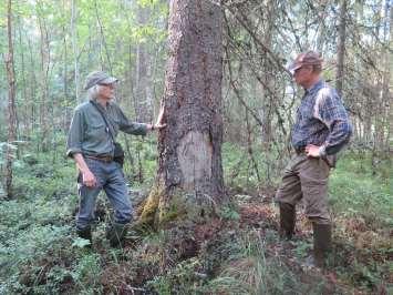 Hela svämskogsplanet måste naturligtvis sparas.