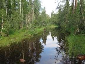 Här har avverkningar längre tillbaka banat vägen för dagens lövskog. Gammal skog finns på båda sidor om Unnån. De äldsta tallarna troligen uppemot 250 år.