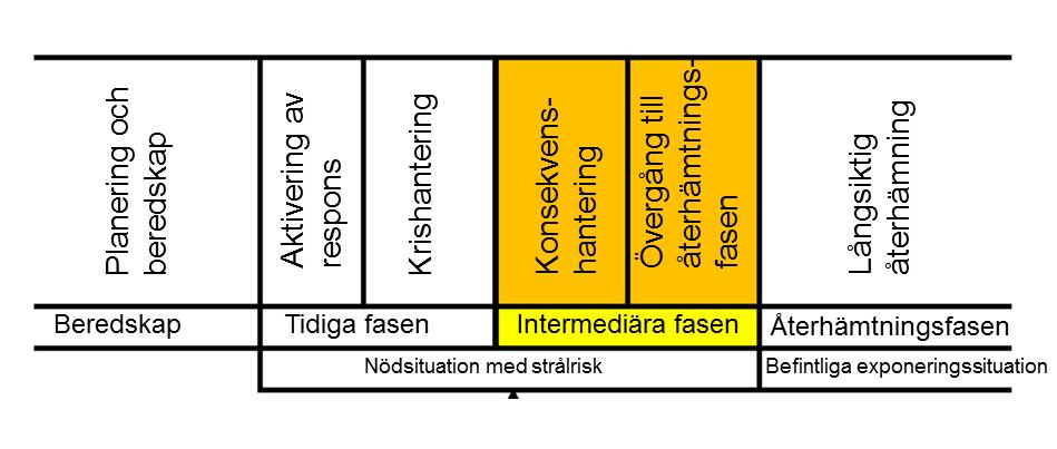 Bild 3. Faser i en nödsituation med strålrisk 137. Befintlig exponeringssituation efter nödsituation med strålrisk.