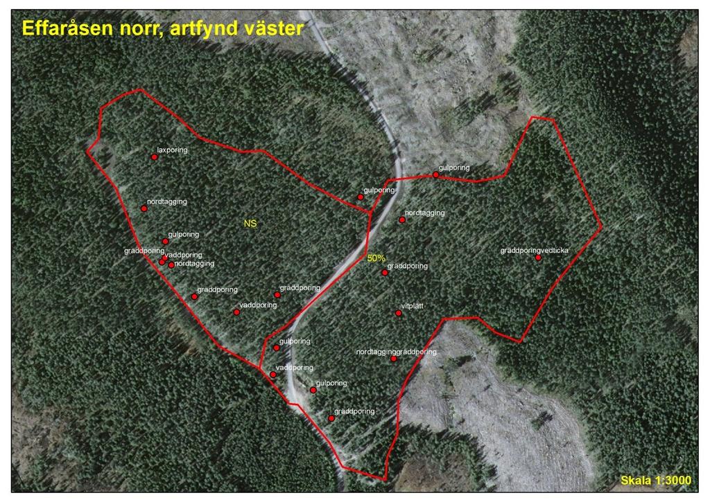 Tabell med artfynd och vilket delområde arterna finns i Art hot.kat.