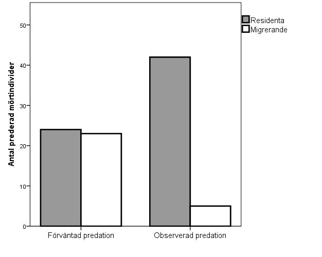 Figur 3. Illustrerar förväntat antal respektive observerat antal prederade mörtindivider för residenta och migrerande individer. Figur 4.